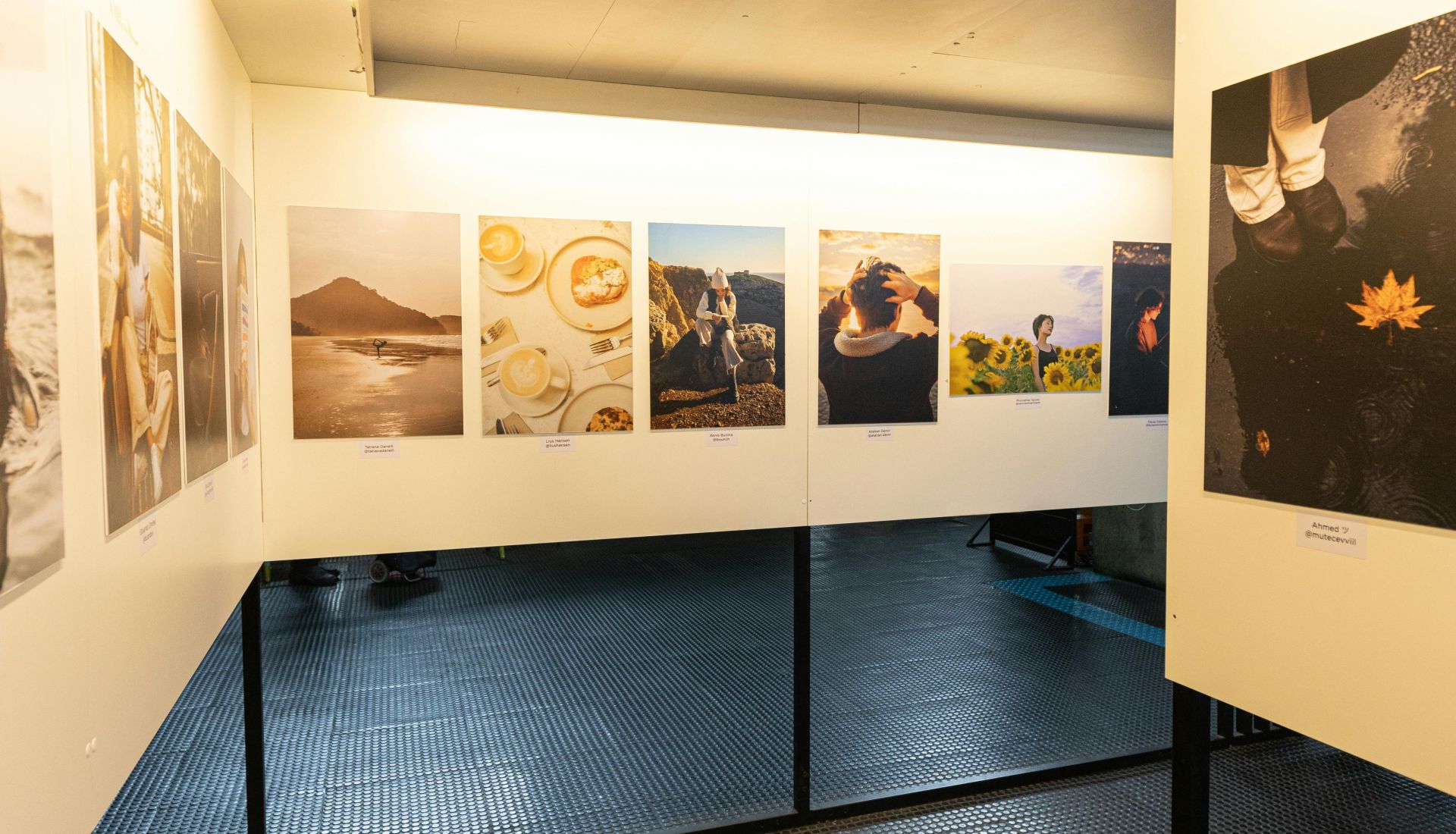 Des expositions, des écrivains et nous
